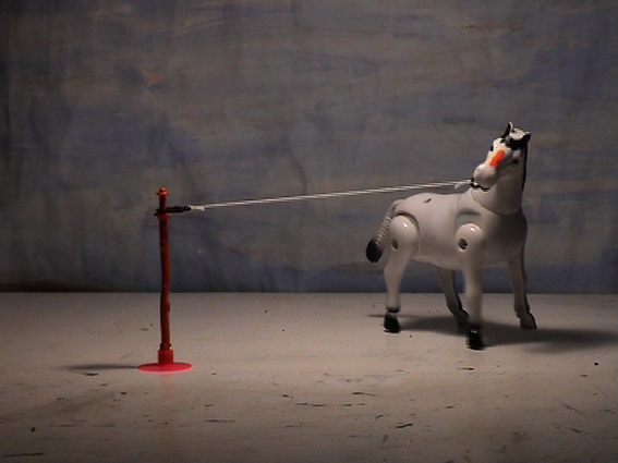 Dean Manning Horse Video Still